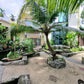 2.5 STOREY BUNGALOW Lorong Damai, Off Jalan Damai Keramat Kuala Lumpur
