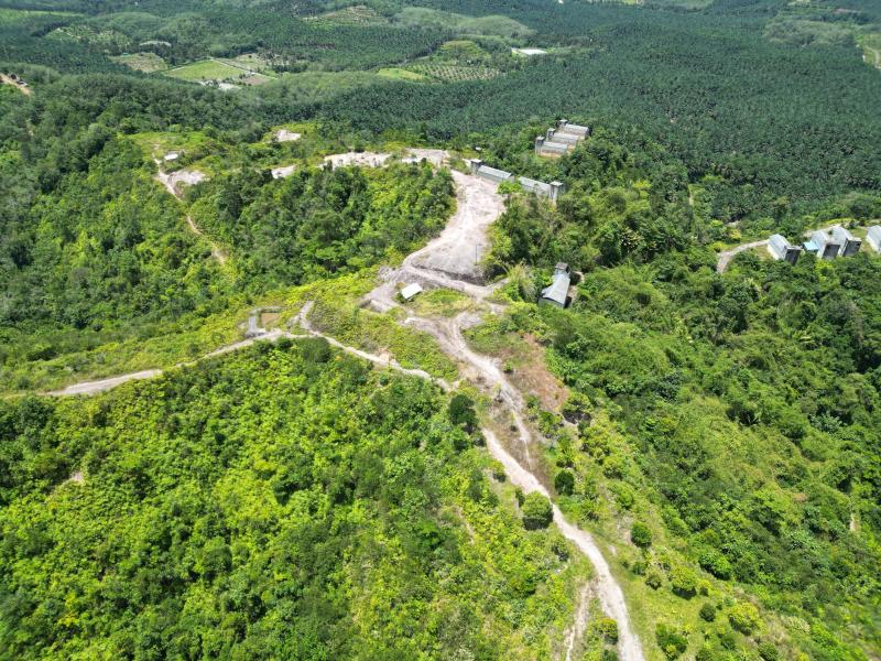 Below Market Price, Karak/Bentong Durian Farm. only less than RM 150k per acre.